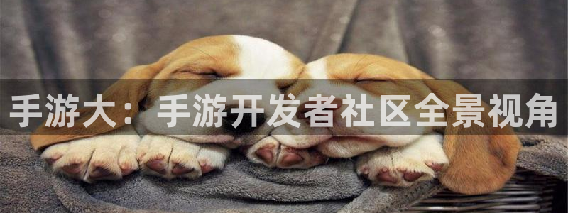 长运娱乐官网苹果在线安装：手游大：手游开发者社区全景视角