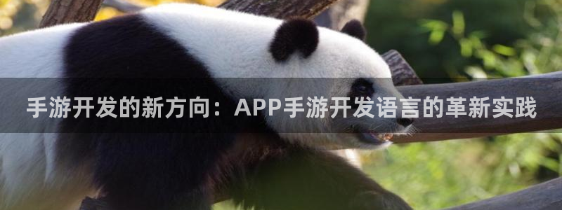 长运娱乐官网加拿大在线上分：手游开发的新方向：APP手游开发