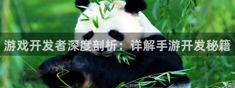 长运娱乐官网玩法：游戏开发者深度剖析：详解手游开发秘籍