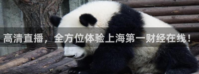 so米直播体育在线：高清直播，全方位体验上海第一财经在线！
