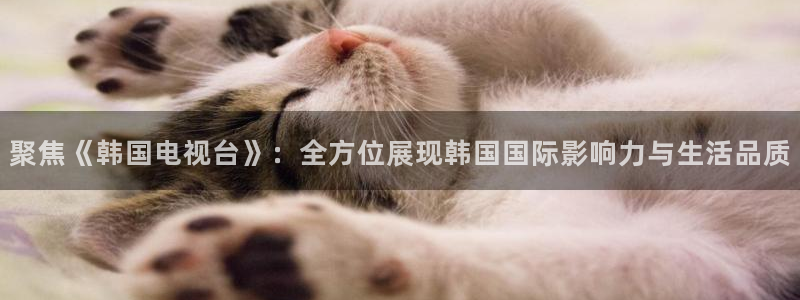 so米直播体育：聚焦《韩国电视台》：全方位展现韩国国际影响力与生活品质