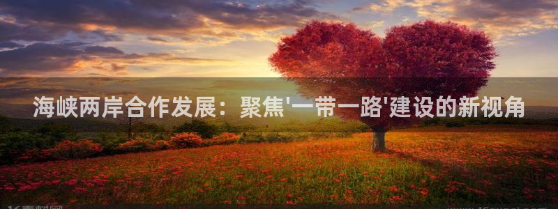 so米直播体育比赛：海峡两岸合作发展：聚焦\'一带一路\'建设的新视角