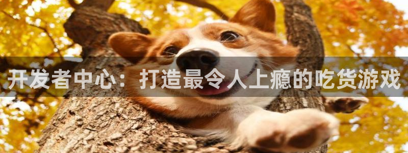 长运娱乐官网加拿大：开发者中心：打造最令人上瘾的吃货游戏