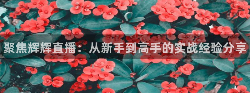 so米足球直播吧：聚焦辉辉直播：从新手到高手的实战经验分享