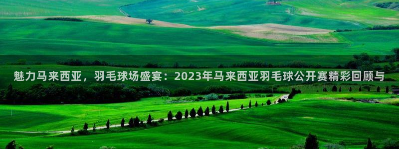 so米篮球体育直播：魅力马来西亚，羽毛球场盛宴：2023年马来西亚羽毛球公开赛精彩回顾与
