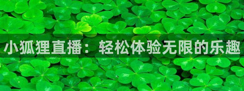 so米：小狐狸直播：轻松体验无限的乐趣