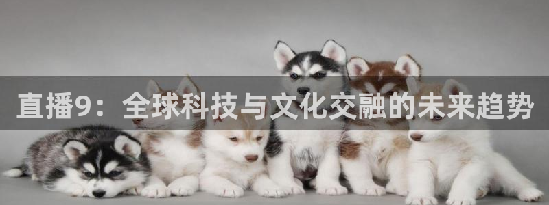 so米体育网页版：直播9：全球科技与文化交融的未来趋势